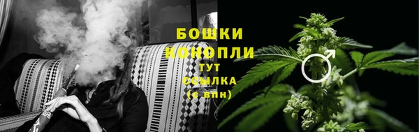 PSILOCYBIN Горно-Алтайск